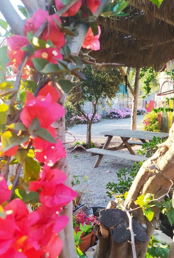 Myparadise-Farm Villa In The Centre Of South Crete Kalamaki  Exteriér fotografie